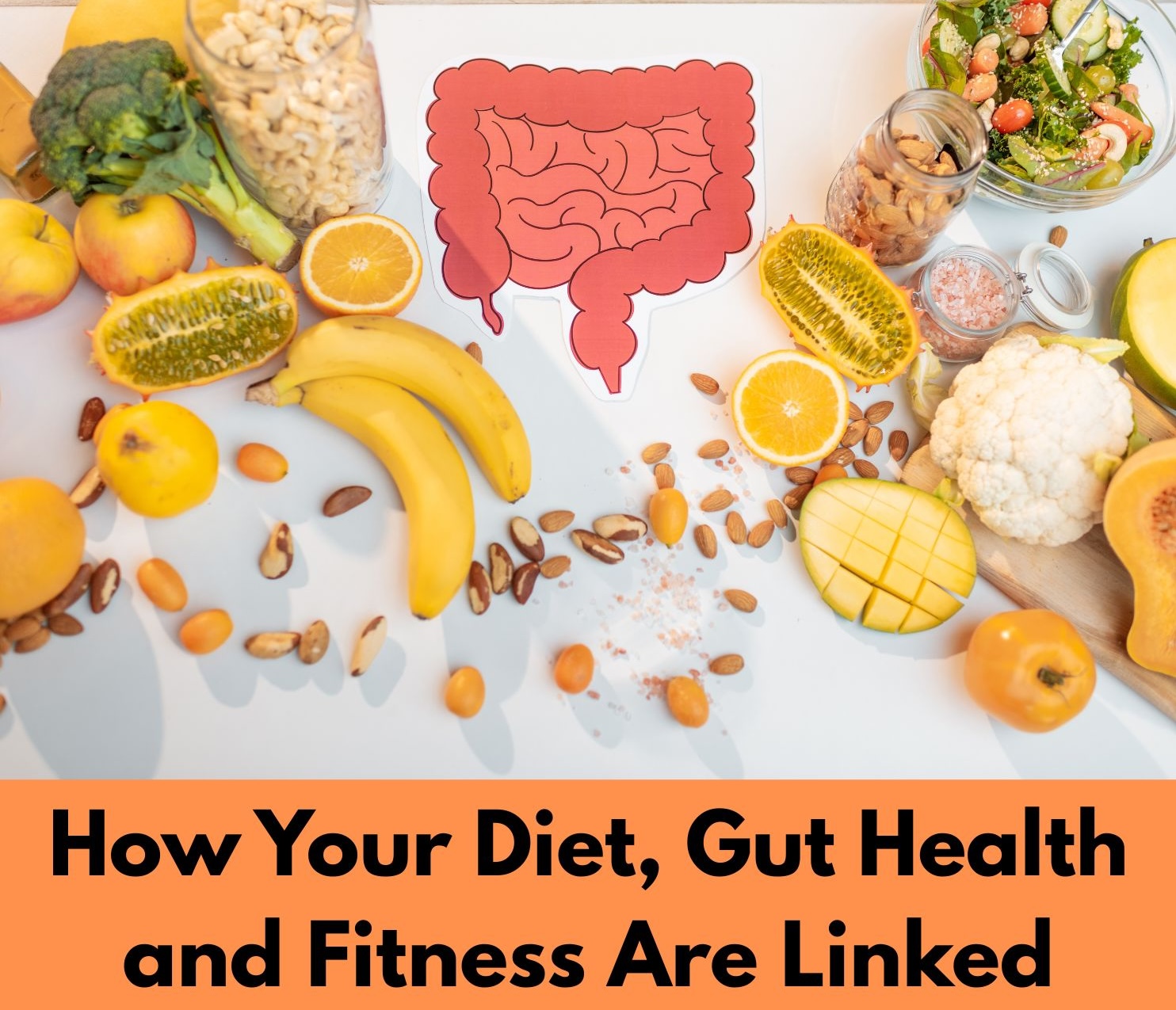 Read more about the article Mind Gut Health to Boost Your Fitness